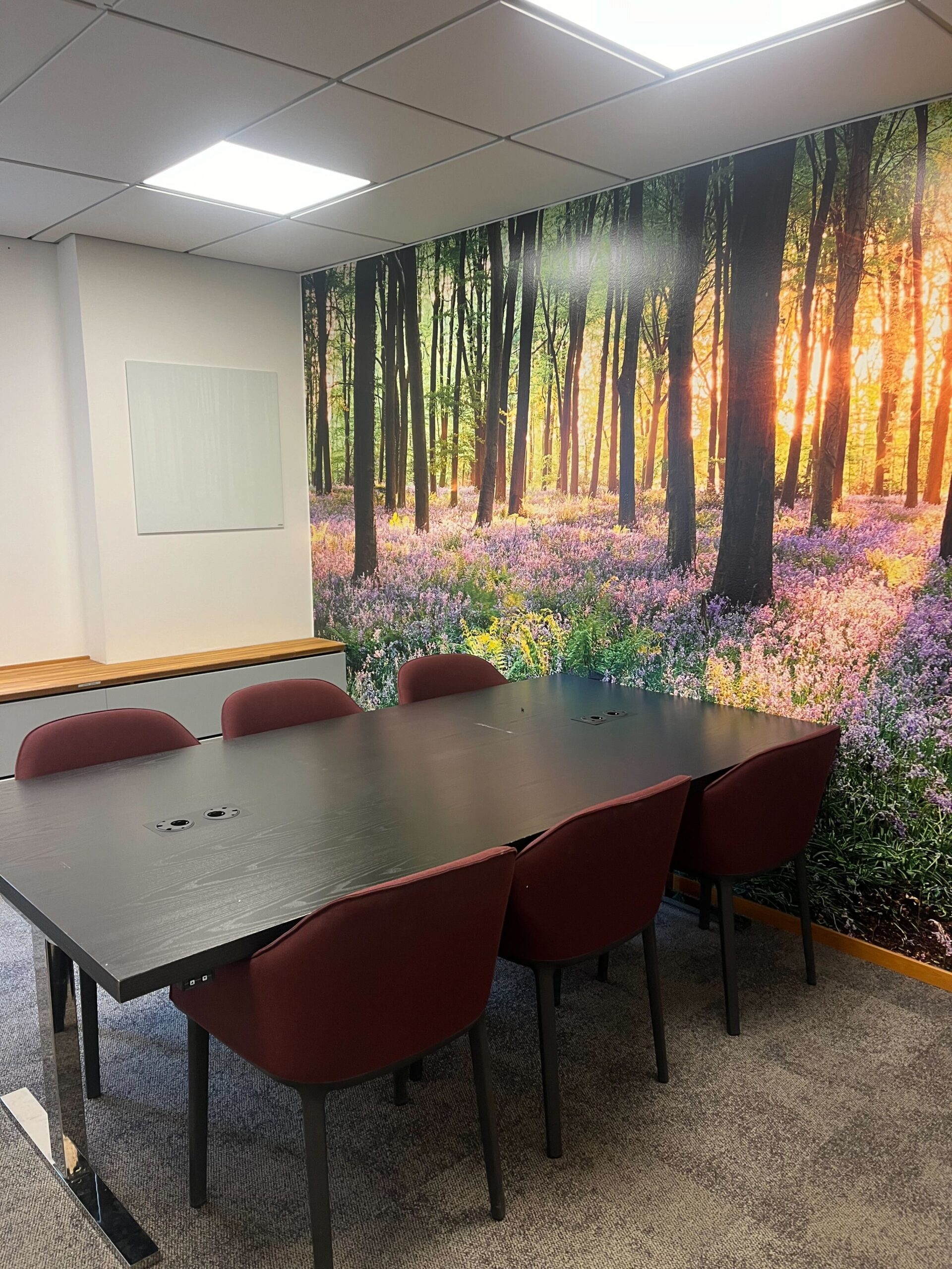 IMG_8557 (1) IMG_8557 (1)